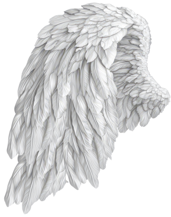 Angel Wing